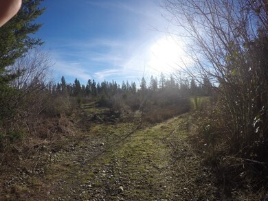 unlisted-address, Yelm, WA 98597 - photo 2