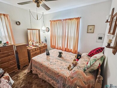 619 N Ash St, Carlsbad, NM 88220 - photo 5