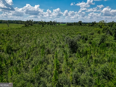 0 Nantze Springs Rd, Arlington, GA 39813 - photo 2