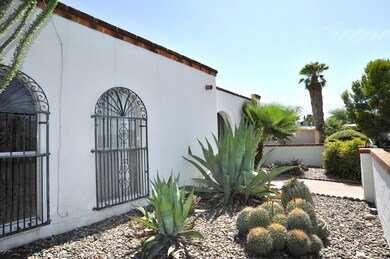 Cactus Garden