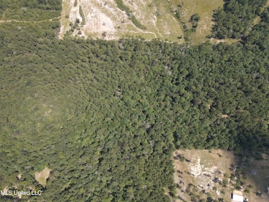 0 Doe Ridge Highland, Lucedale, MS 39452 - photo 7
