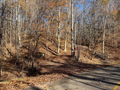 680 Nibert Rd unit (Ponds Poplar Ridge, Gallipolis, OH 45631 - photo 5