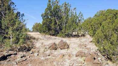 1799 Scott Place, Show Low, AZ 85901 - photo 4