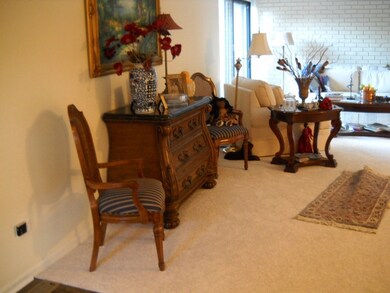 1254 Brentwood Ct unit 2, Flossmoor, IL 60422 - photo 5