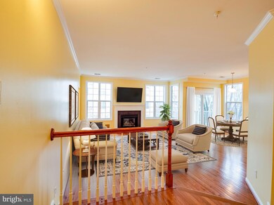 4667 Longstreet Ln unit 206, Alexandria, VA 22311 - photo 2