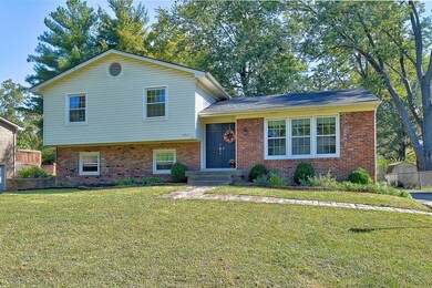 san marco BH finals0003