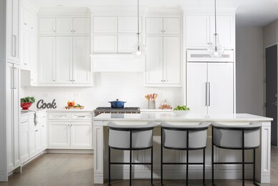 195 N Addison Ave unit 301, Elmhurst, IL 60126 - photo 5