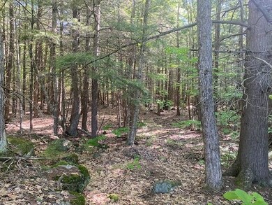 0 Baldwin Ave unit 7 4911642, New Hampton, NH 03256 - photo 3