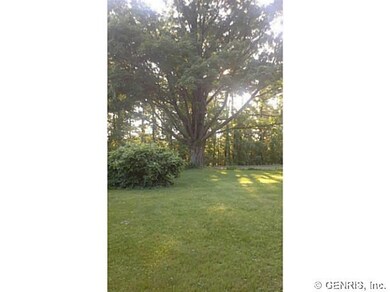 Yard/Garden
