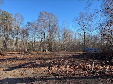 1028 Raccoon Run Ln, Jonesville, NC 28642 - photo 3