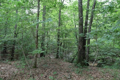 TBD Slay Rd, Olla, LA 71465 - photo 6