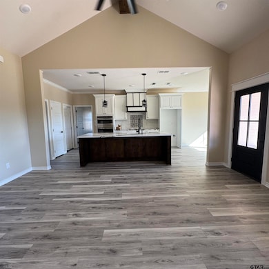 3078 County Road 326 E, Tyler, TX 75706 - photo 6