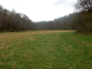 301 Langford Hill Rd, Gainesboro, TN 38562 - photo 2