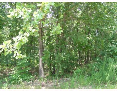 0 Ilford (Lot 23) Ln unit 549726, Bella Vista, AR 72714 - photo 2