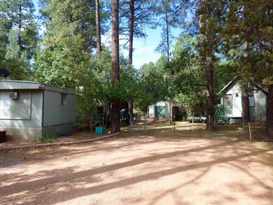 3368 N Bradshaw Cir, Pine, AZ 85544 - photo 5