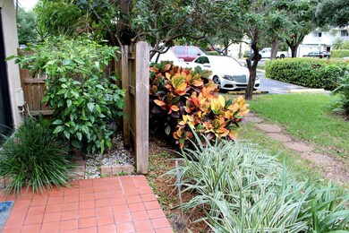 IMG_5354