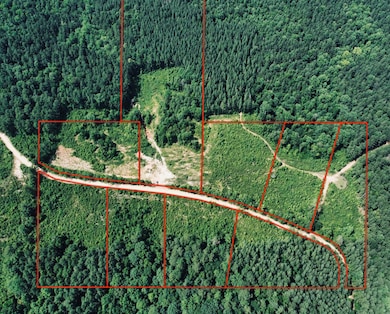 Vossburg 10