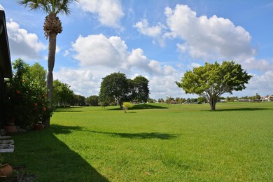Part of Back Yard Area