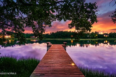 3009 Sunnybranch Dr, Wilmington, NC 28411 - photo 3