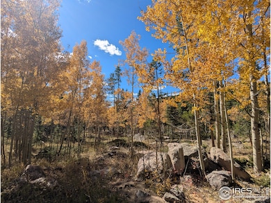 2182 Osage Trail, Red Feather Lakes, CO 80545 - photo 6