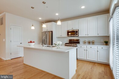 1006 Ribbon Limestone Terrace SE, Leesburg, VA 20175 - photo 5