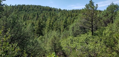 33179 Turkey Creek Ln unit Parcel B72, Trinidad, CO 81082 - photo 6