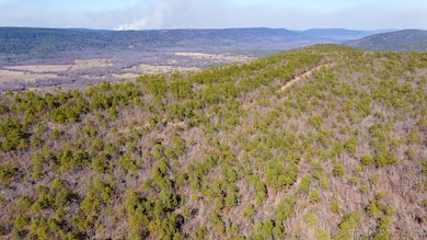 29000 State Highway 43, Clayton, OK 74536 - photo 6