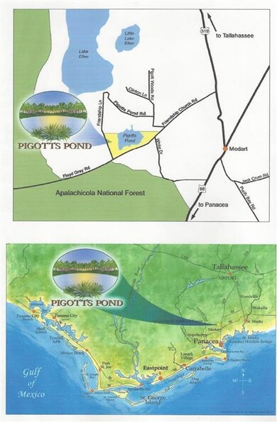 Lot 24 Friendship Church Rd, Crawfordville, FL 32327 - photo 2