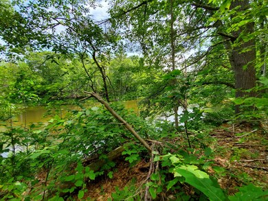 On the banks of the stream