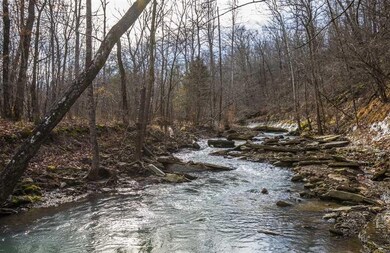 0 Bunyard Rd, Winslow Township, AR 72959 - photo 6