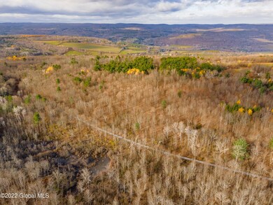 L13 W Woodstock Rd, Berne, NY 12023 - photo 4