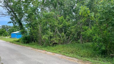 0 County Road 429, Brazoria, TX 77422 - photo 5