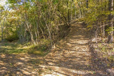 0 County Rd unit 1175082, Elkins, AR 72727 - photo 4