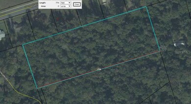 75 Yupon Dr, Crawfordville, FL 32327 - photo 2