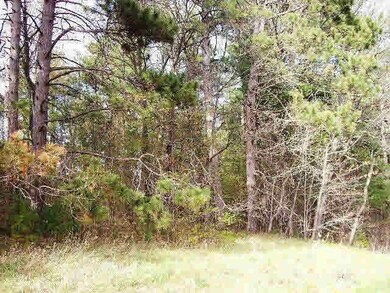0 Hwy A unit 4662381, Webster, WI 54893 - photo 6