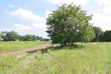 View - South east toward City outlot