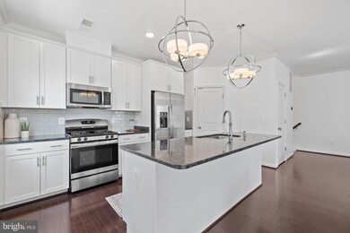 41993 White Mills Terrace, Dulles, VA 20105 - photo 6