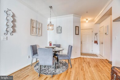 502 Mathias Hammond Way unit 204, Annapolis, MD 21401 - photo 5