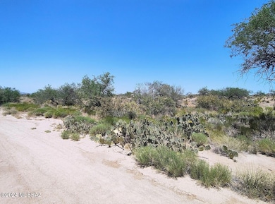 13471 Bruckner Ave unit 416, Tucson, AZ 85736 - photo 3