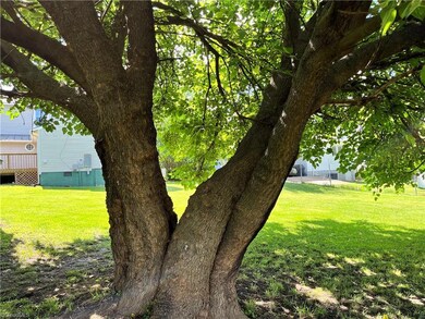 527 Barnes St, Reidsville, NC 27320 - photo 7