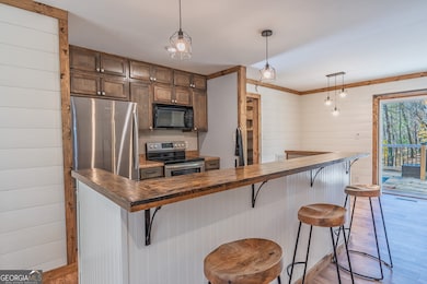 334 Ponderosa Rd, Ellijay, GA 30540 - photo 4