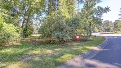 111 Cherry Laurel Dr, Wallace, NC 28466 - photo 4