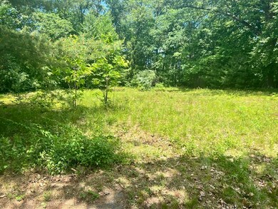 836 Wilbraham Rd, Springfield, MA 01109 - photo 5