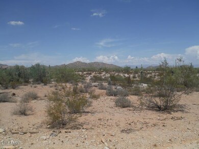 Landscape 1