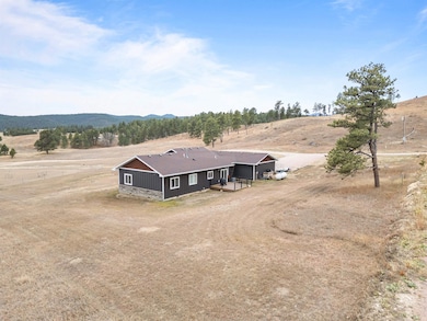 24370 Talon Trail, Keystone, SD 57751 - photo 5