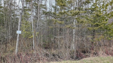 PXL_20250502_190015444