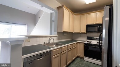 11338 Westbrook Mill Ln unit 303, Fairfax, VA 22030 - photo 4