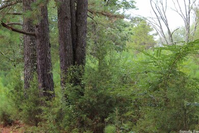 0 Randall Ave unit 22022383, Heber Springs, AR 72543 - photo 3