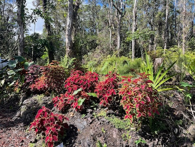 777 Iolani St, Pahoa, HI 96778 - photo 3