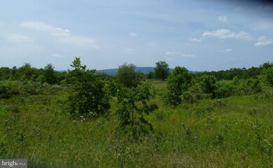 0 Magnolia unit 1000168213, Paw Paw, WV 25434 - photo 7